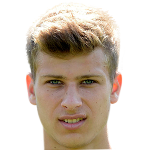 冯-皮耶霍夫斯基头像,冯-皮耶霍夫斯基图片