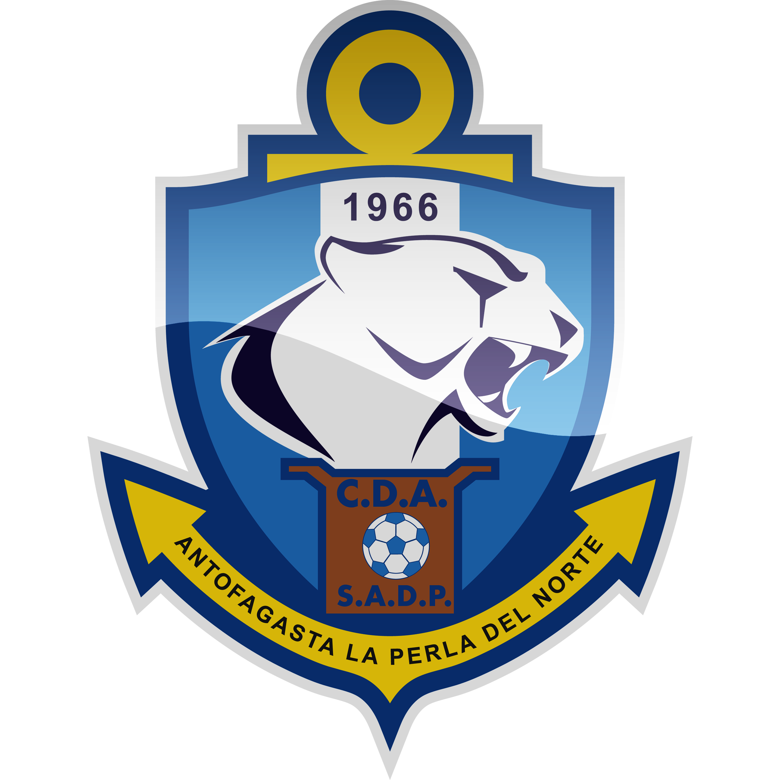 安托法加斯塔女足队标,安托法加斯塔女足图片