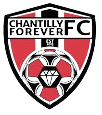 查迪利队标,查迪利图片