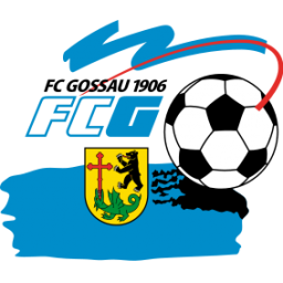 戈绍队标,戈绍图片