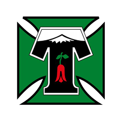 迪帕特斯女足队标,迪帕特斯女足图片