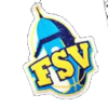 FSV里耶卡女篮队标,FSV里耶卡女篮图片