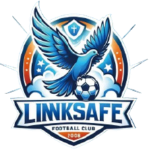 济南林凯赛福队标,济南林凯赛福图片